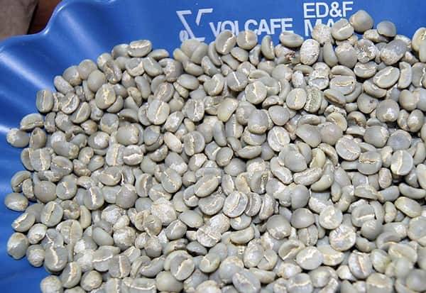 Вот как выглядит действительно хорошее сырое кофейное зерно