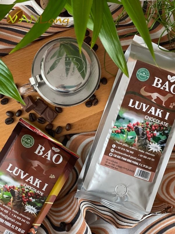 Chocolate Luvak I Bao